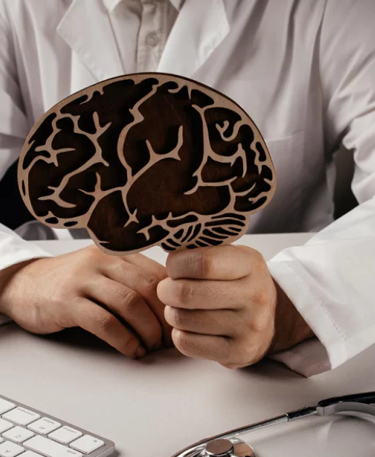 neuropsicologia-del-desarrollo-topic neuropsicologia-del-desarrollo-topic
